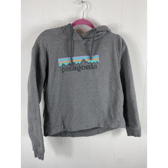 Patagonia Tops - Patagonia Gray Pullover Hoodie with Rainbow Stripe Logo